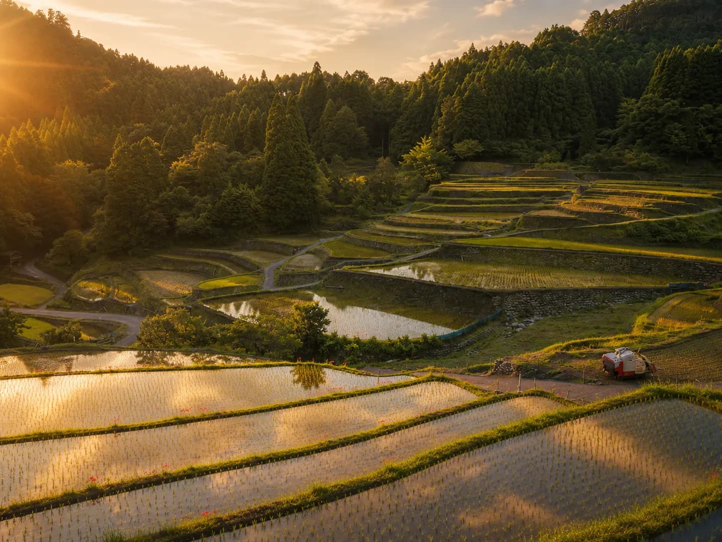 耳納連山の麓に広がる棚田と、夕日に照らされる水鏡