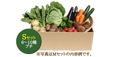 【定期便/月曜出荷】Sサイズ（月1回コース）